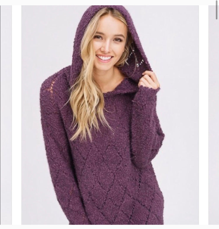 Plum Softest Hooded Pullover Sweater
